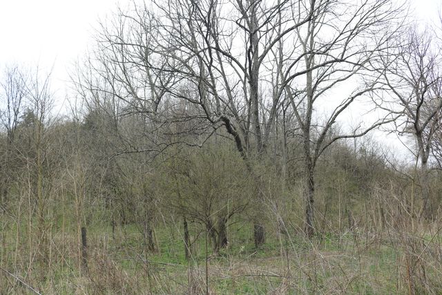 1475 Saltwell - Headquarters Road, Carlisle, KY 40311