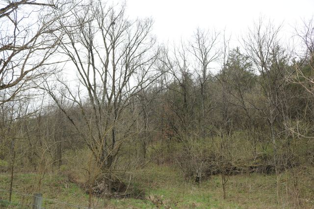 1475 Saltwell - Headquarters Road, Carlisle, KY 40311