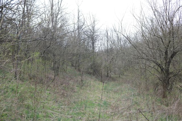 1475 Saltwell - Headquarters Road, Carlisle, KY 40311