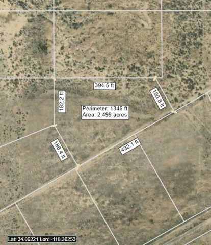 9800 W Noble Lake Dr, Antelope Acres, CA 93536