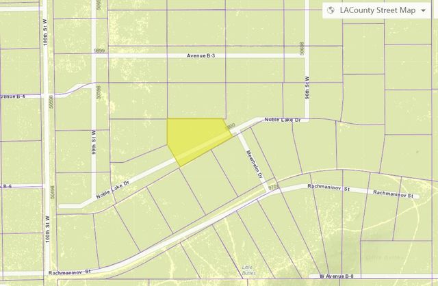 9800 W Noble Lake Dr, Antelope Acres, CA 93536