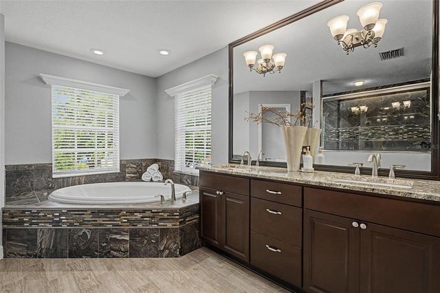 15004 MAURINE COVE LANE, Odessa, FL 33556