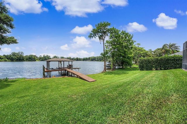 15004 MAURINE COVE LANE, Odessa, FL 33556