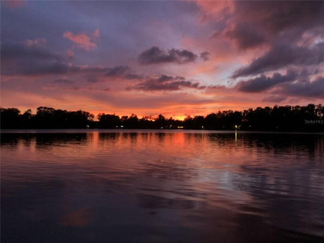 15004 MAURINE COVE LANE, Odessa, FL 33556