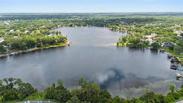 15004 MAURINE COVE LANE, Odessa, FL 33556