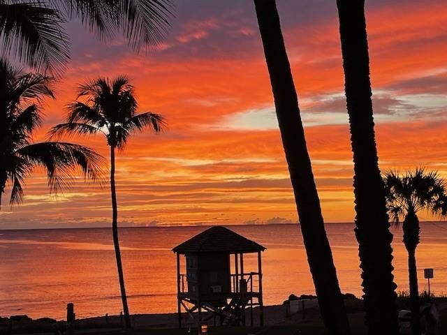 2051 SE 3rd Street 203, Deerfield Beach, FL 33441