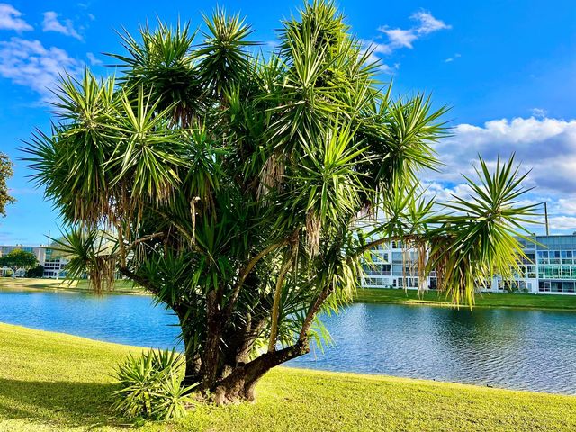 1011 Harwood C 1011, Deerfield Beach, FL 33442
