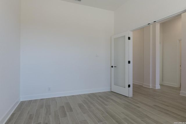 1146 Cape May Warbler, New Braunfels, TX 78132