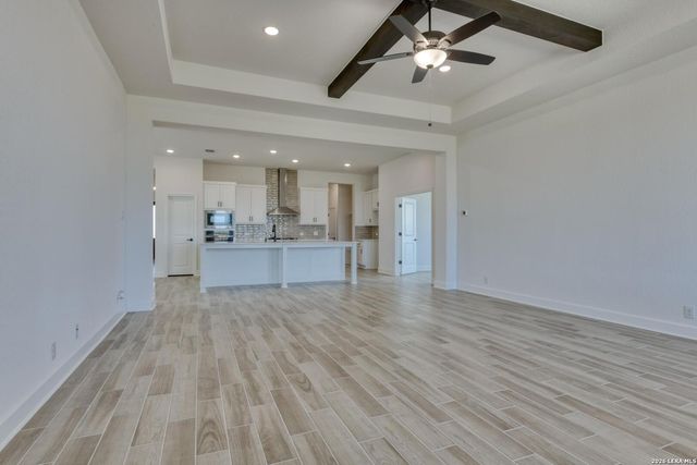1146 Cape May Warbler, New Braunfels, TX 78132