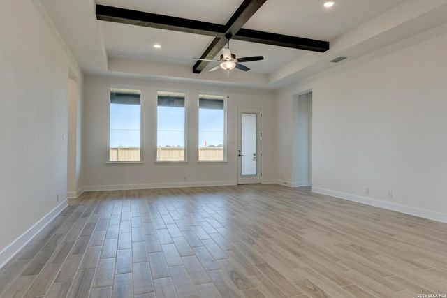 1146 Cape May Warbler, New Braunfels, TX 78132