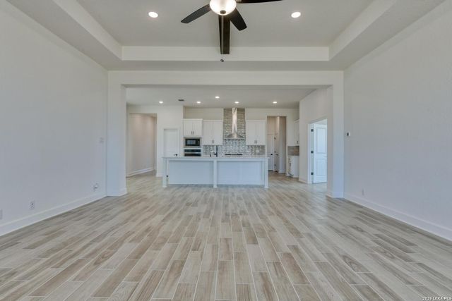 1146 Cape May Warbler, New Braunfels, TX 78132