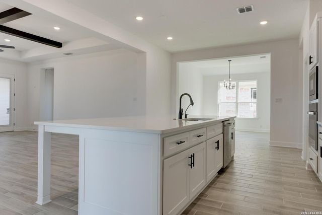 1146 Cape May Warbler, New Braunfels, TX 78132