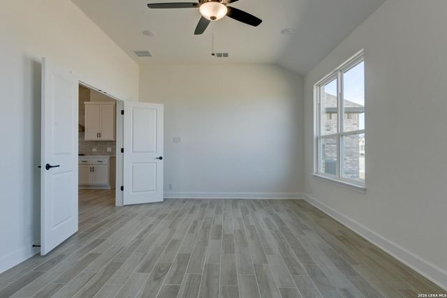 1146 Cape May Warbler, New Braunfels, TX 78132