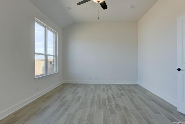 1146 Cape May Warbler, New Braunfels, TX 78132