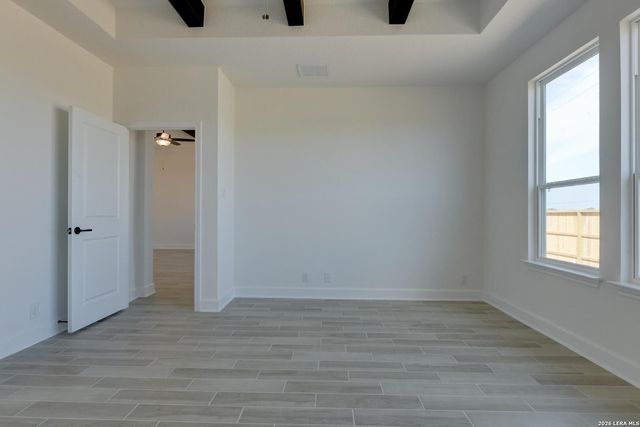 1146 Cape May Warbler, New Braunfels, TX 78132