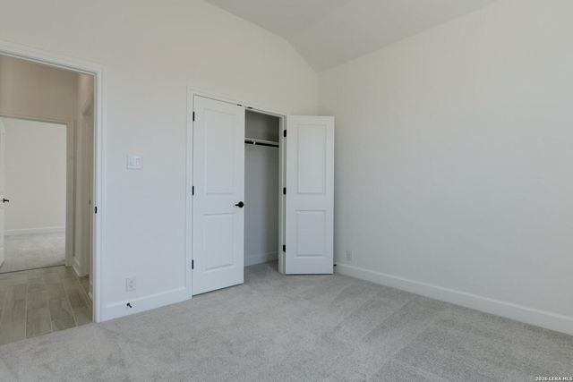 1146 Cape May Warbler, New Braunfels, TX 78132