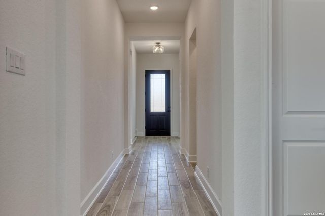 1146 Cape May Warbler, New Braunfels, TX 78132