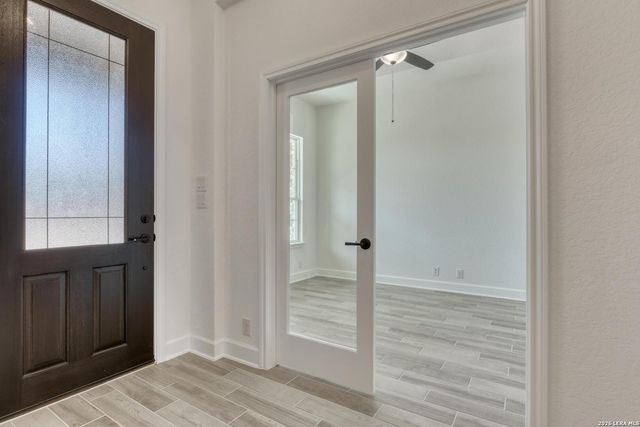 1146 Cape May Warbler, New Braunfels, TX 78132