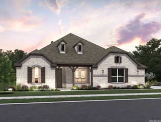 1146 Cape May Warbler, New Braunfels, TX 78132