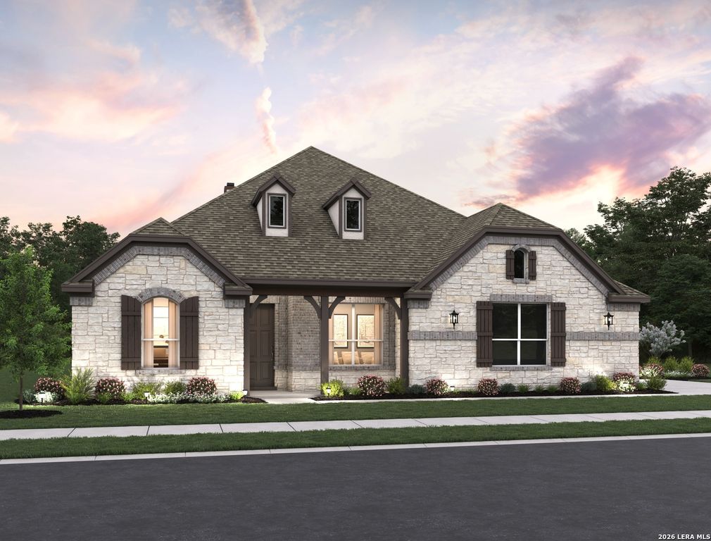 1146 Cape May Warbler, New Braunfels, TX 78132