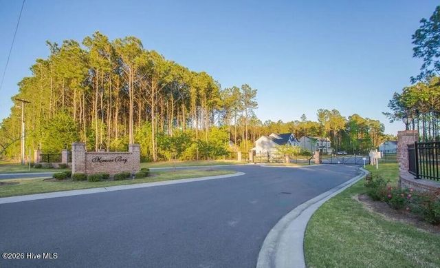 417 Harlequin Court, Sneads Ferry, NC 28460
