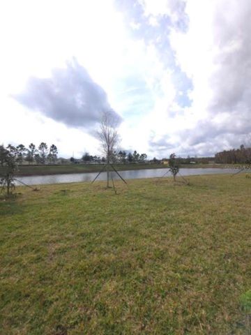 10715 NEW MORNING DRIVE, Tampa, FL 33647