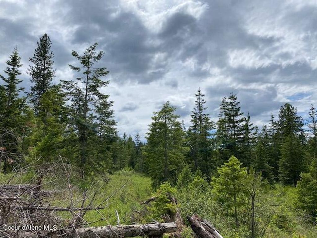 Lt 3 Blk 4 E Amulet Cir, Rathdrum, ID 83858 photo 18