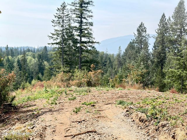 NNA Snowberry Ln, Sandpoint, ID 83864 property photo