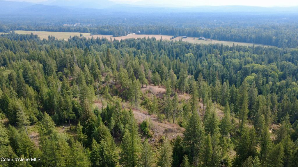 NNA Snowberry Ln, Sandpoint, ID 83864 photo 4