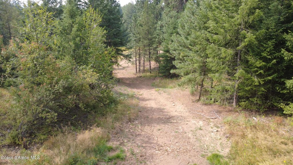 NNA Snowberry Ln, Sandpoint, ID 83864 photo 5