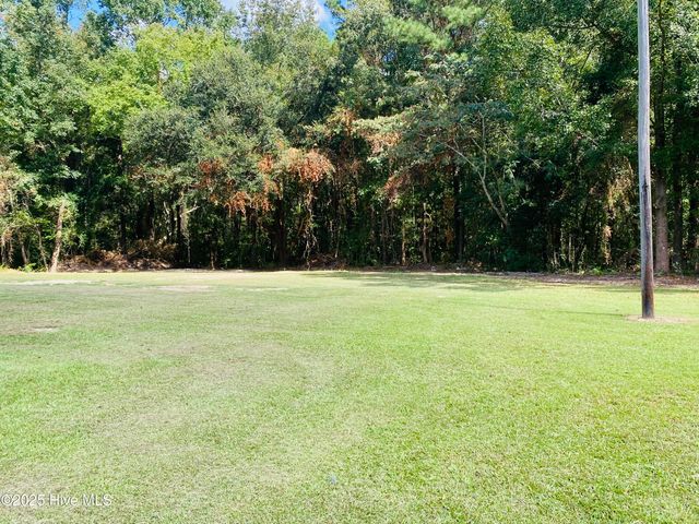 1924 Millie Christine Road, Whiteville, NC 28472