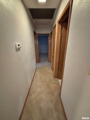 1401 6TH Street A, Orion, IL 61273