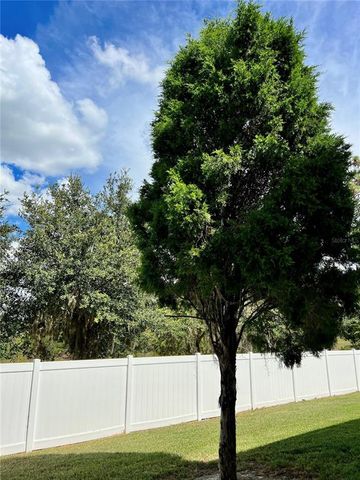20129 INDIAN ROSEWOOD DRIVE, Tampa, FL 33647