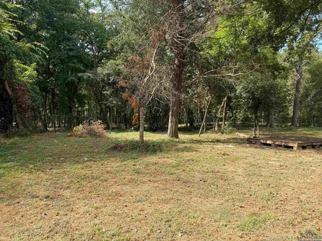 1108 E 8 Street, Mount Pleasant, TX 75455