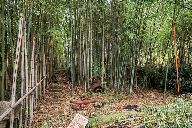 2023 New Linden Road, Newport, KY 41071