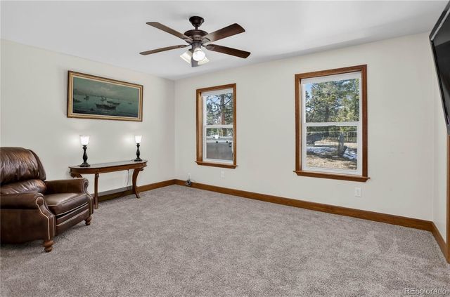 4797 County Road 42, Divide, CO 80814