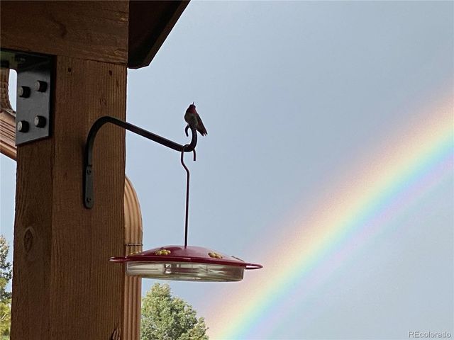 4797 County Road 42, Divide, CO 80814