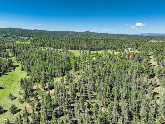 4797 County Road 42, Divide, CO 80814