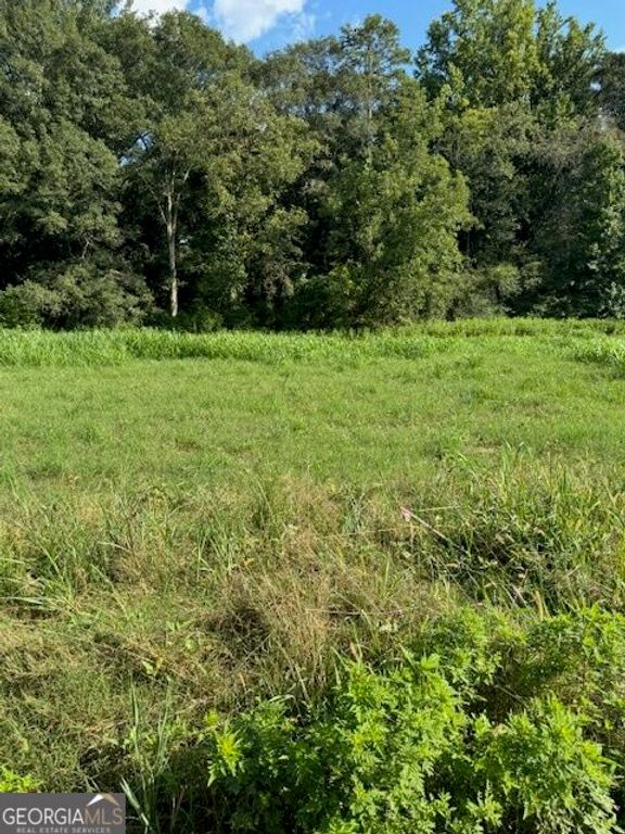 LOT #3 Rita Ridge, Jefferson, GA 30549 — photo 4