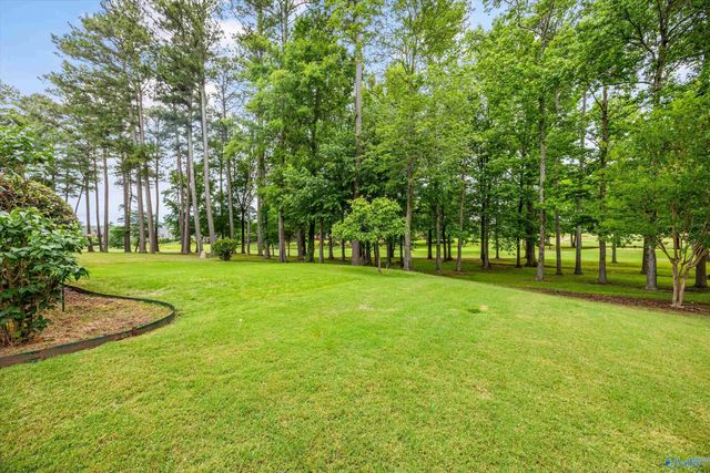23094 Piney Creek Drive, Athens, AL 35613
