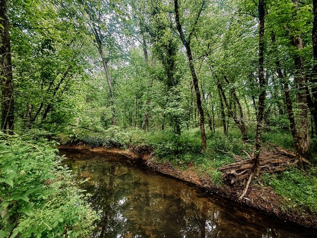 1597 Goodfield Road, Decatur, TN 37322