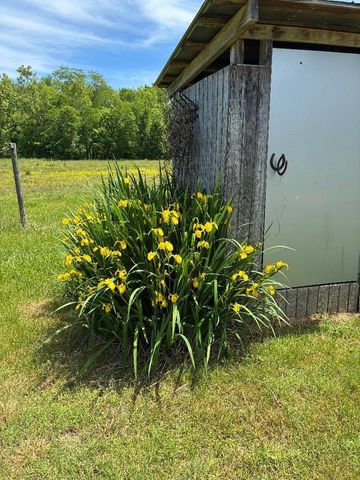 1597 Goodfield Road, Decatur, TN 37322