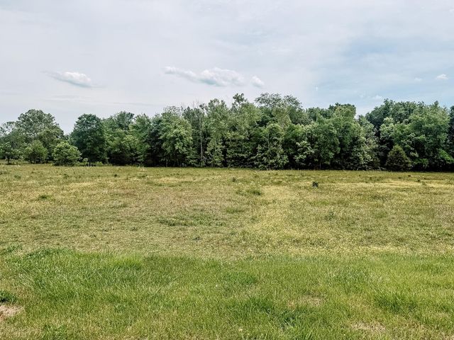 1597 Goodfield Road, Decatur, TN 37322