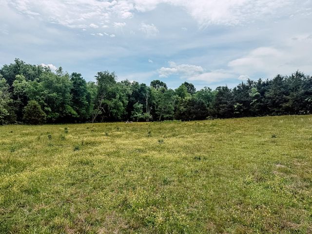 1597 Goodfield Road, Decatur, TN 37322