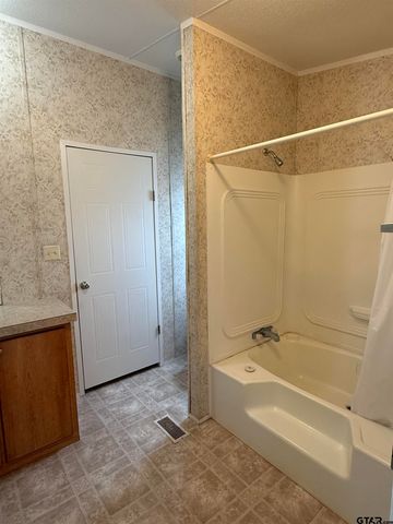 361 Balmorea Drive, Bullard, TX 75757