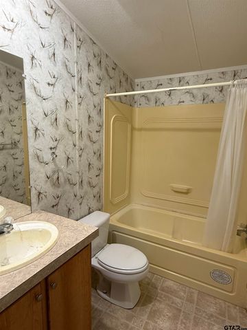 361 Balmorea Drive, Bullard, TX 75757