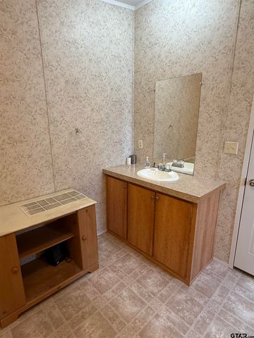 361 Balmorea Drive, Bullard, TX 75757