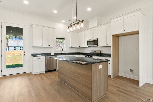 11633 MEADOWS, Berry, AL 35546