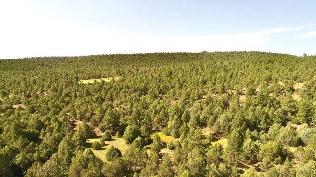 23560 Big Horn Dr, Aguilar, CO 81020