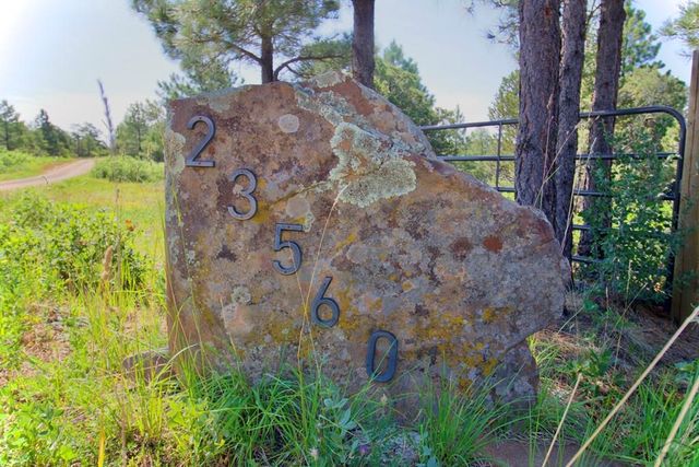 23560 Big Horn Dr, Aguilar, CO 81020